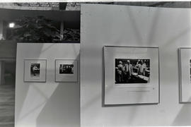 Negativo fotográfico de 16 de dezembro de 1987 - Evento 5949 - Fotograma 40